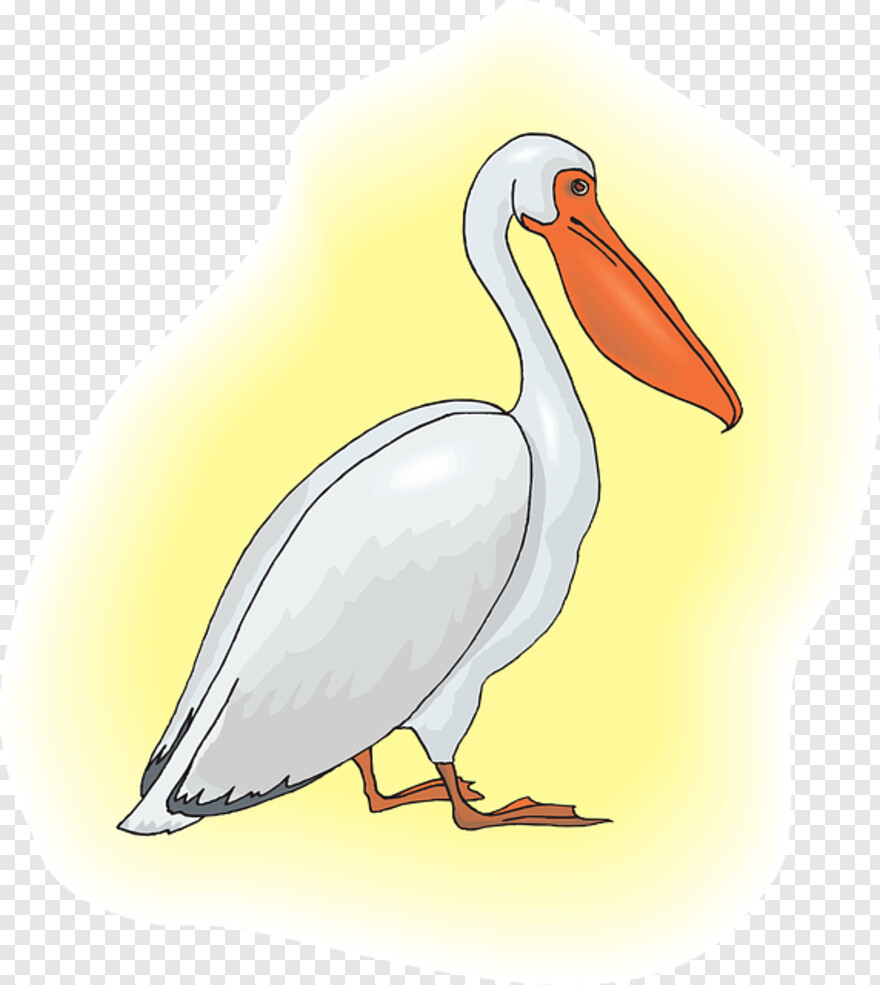 pelican # 512567
