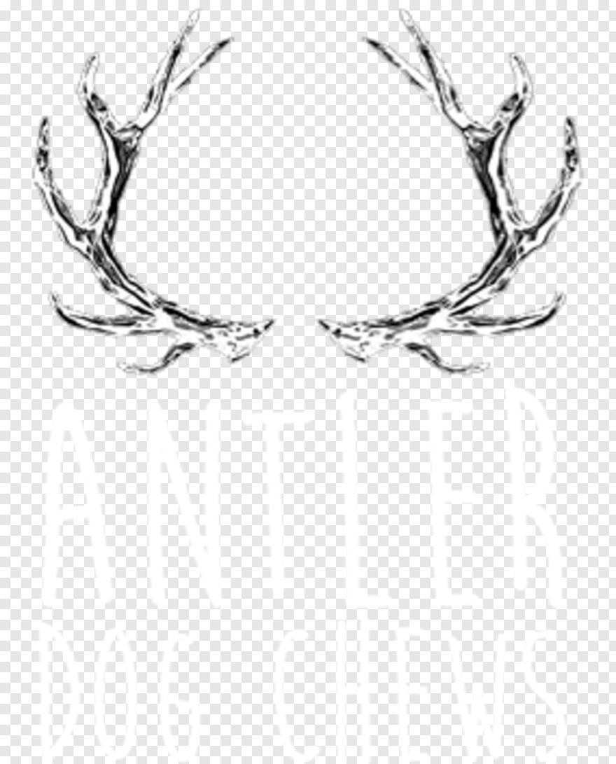reindeer-antlers # 505575