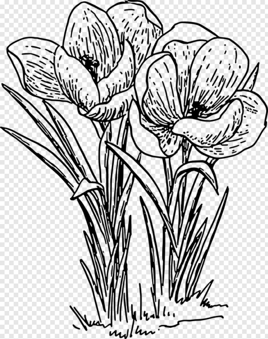 flower-drawing # 1058463