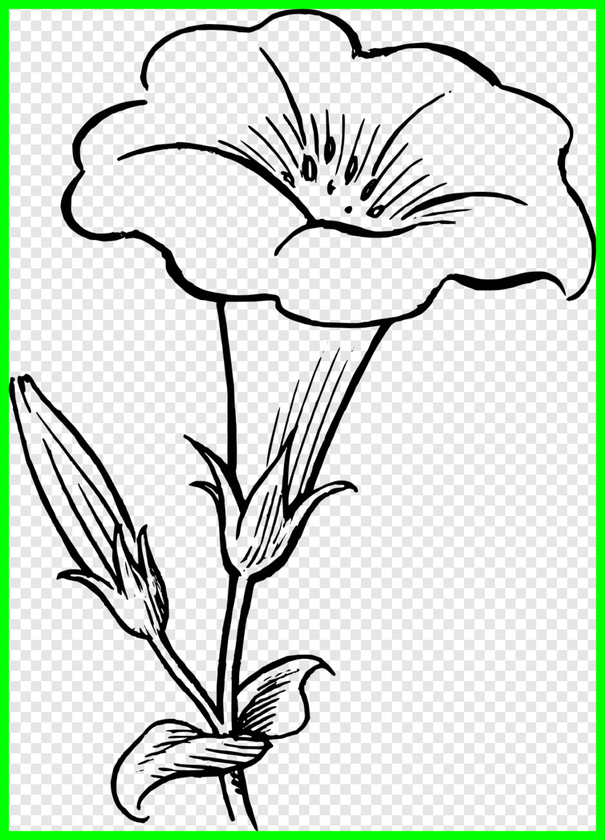 How to Draw Kaner Flower Easy Step By Step| Kaner ka Phoo| कनेर का फूल |Flowers  Drawing| - YouTube