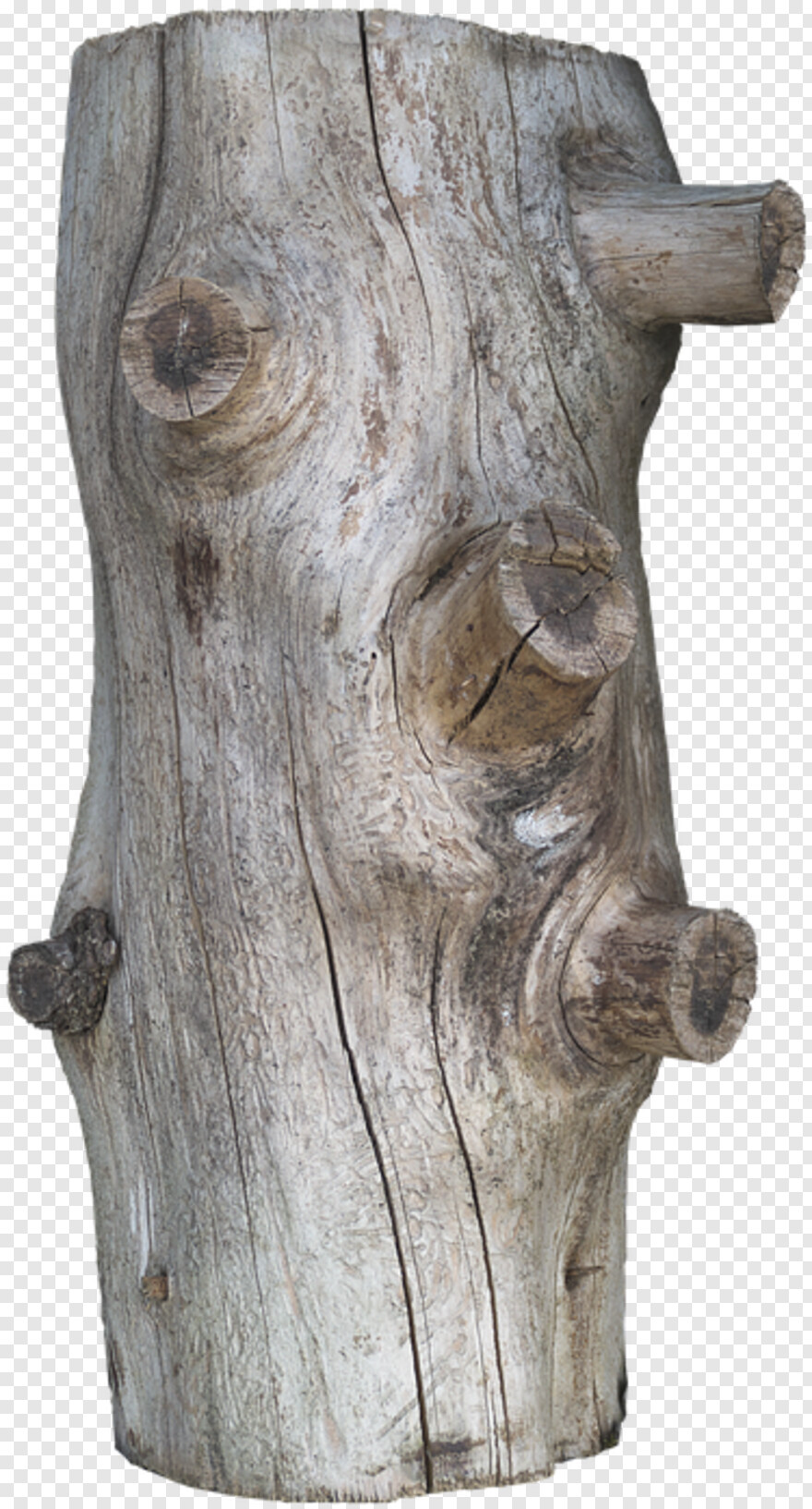 wood-log # 315182