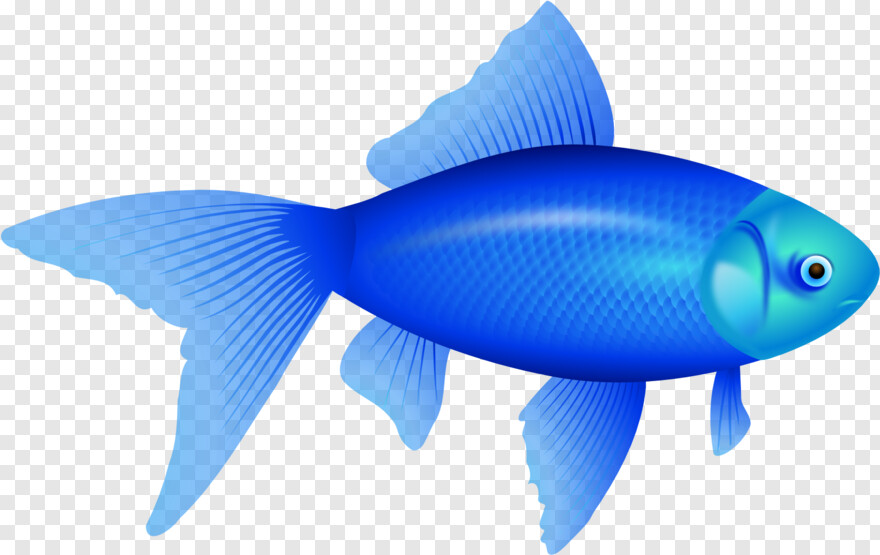 fish-logo # 342439