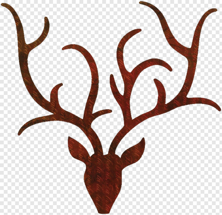 reindeer-antlers # 505567