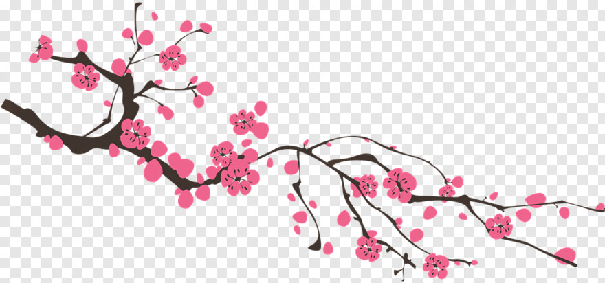  Sakura Tree, Sakura Flower