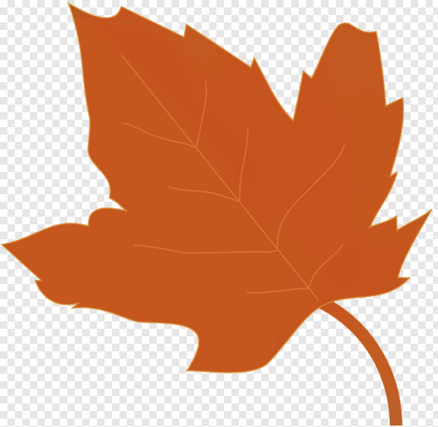 canadian-maple-leaf # 441935