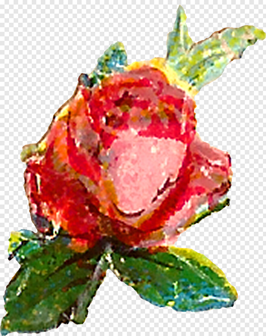 rose-flower-vector # 323634