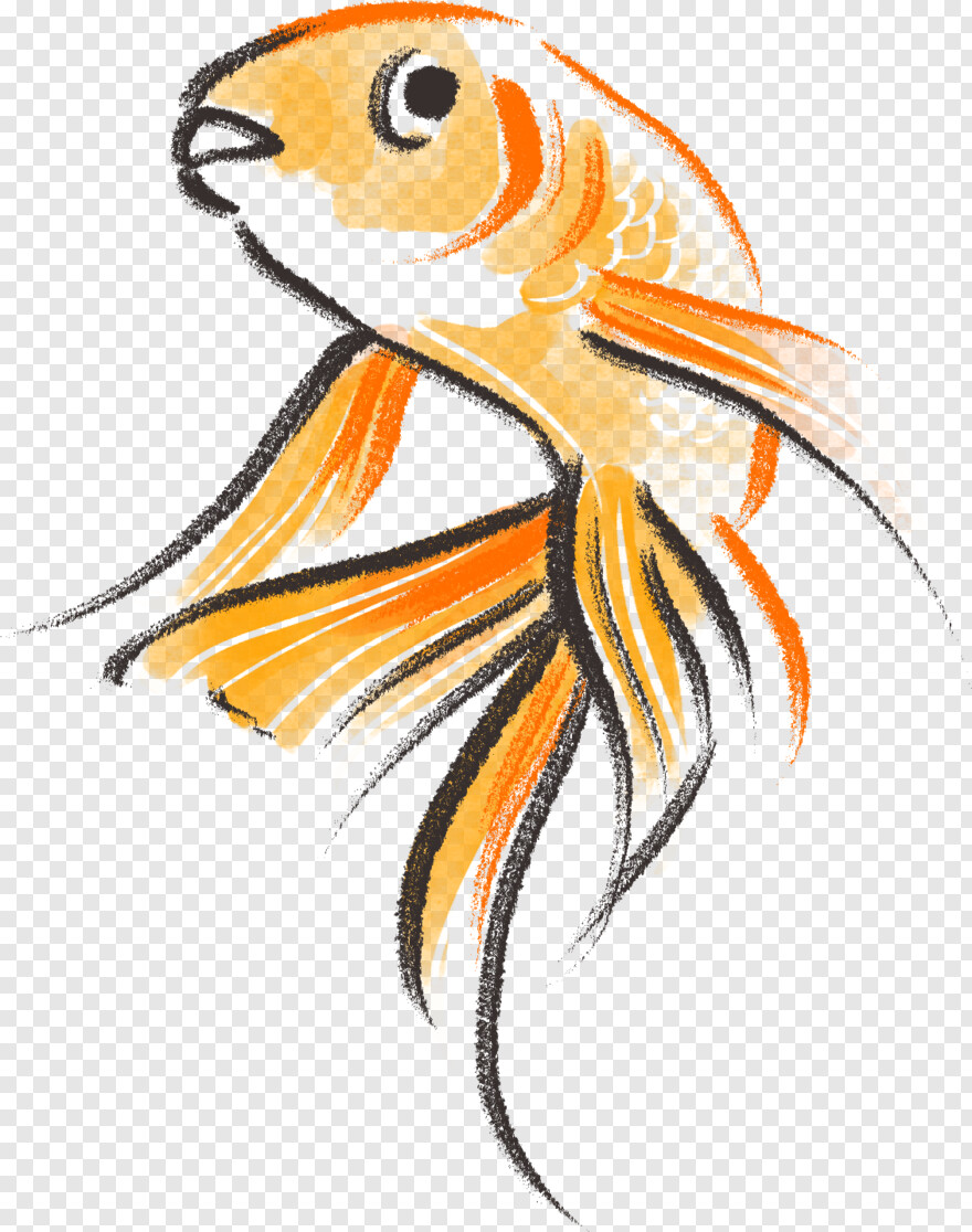 goldfish # 1058377