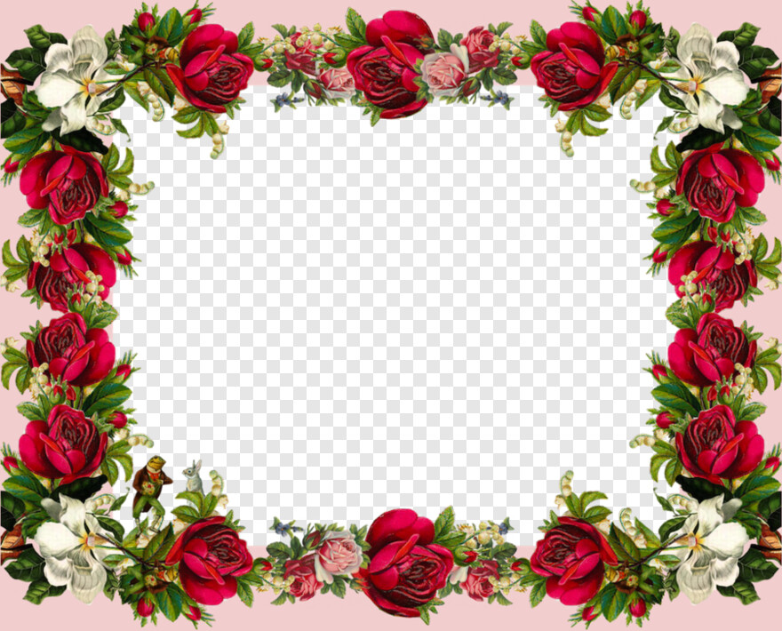  Rose Flower Vector, Rose Frame, Single Rose Flower, Rose Border, Rose Flower, Pink Rose Flower