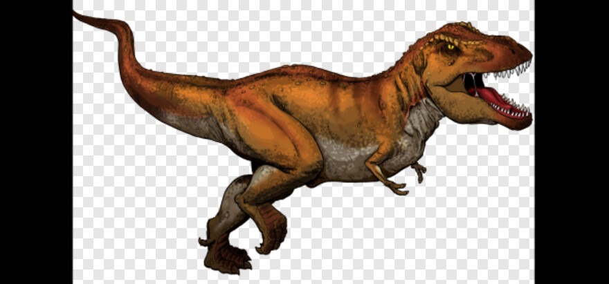 tyrannosaurus-rex # 596839