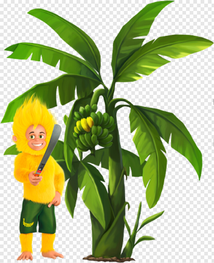 banana-tree # 413397