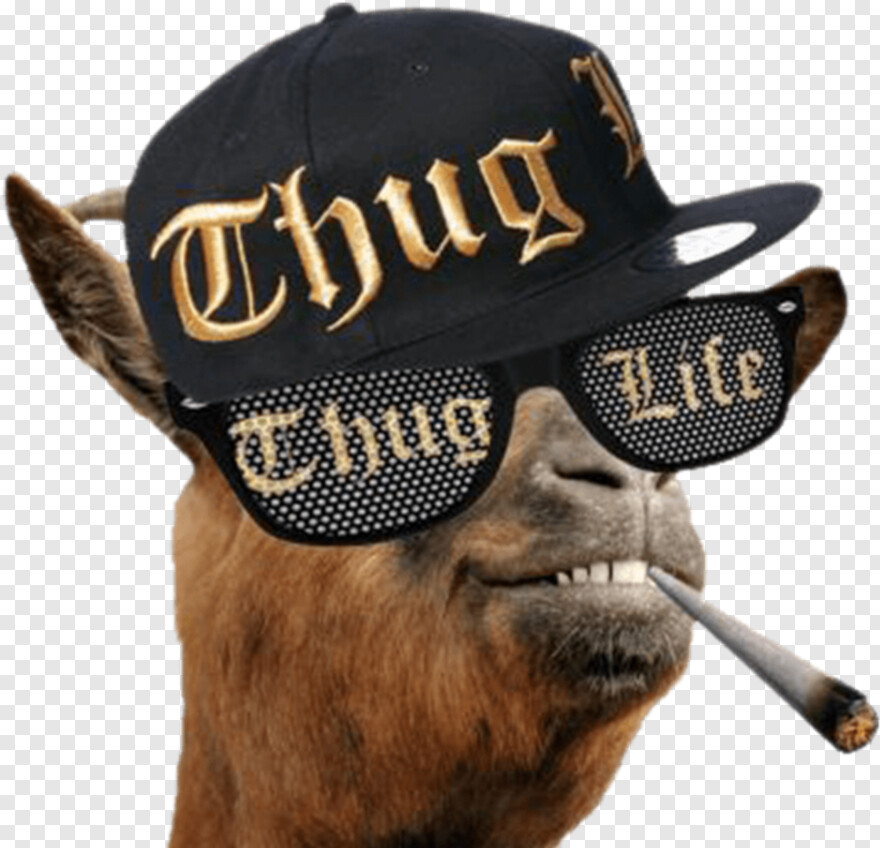 thug-life-chain # 792306
