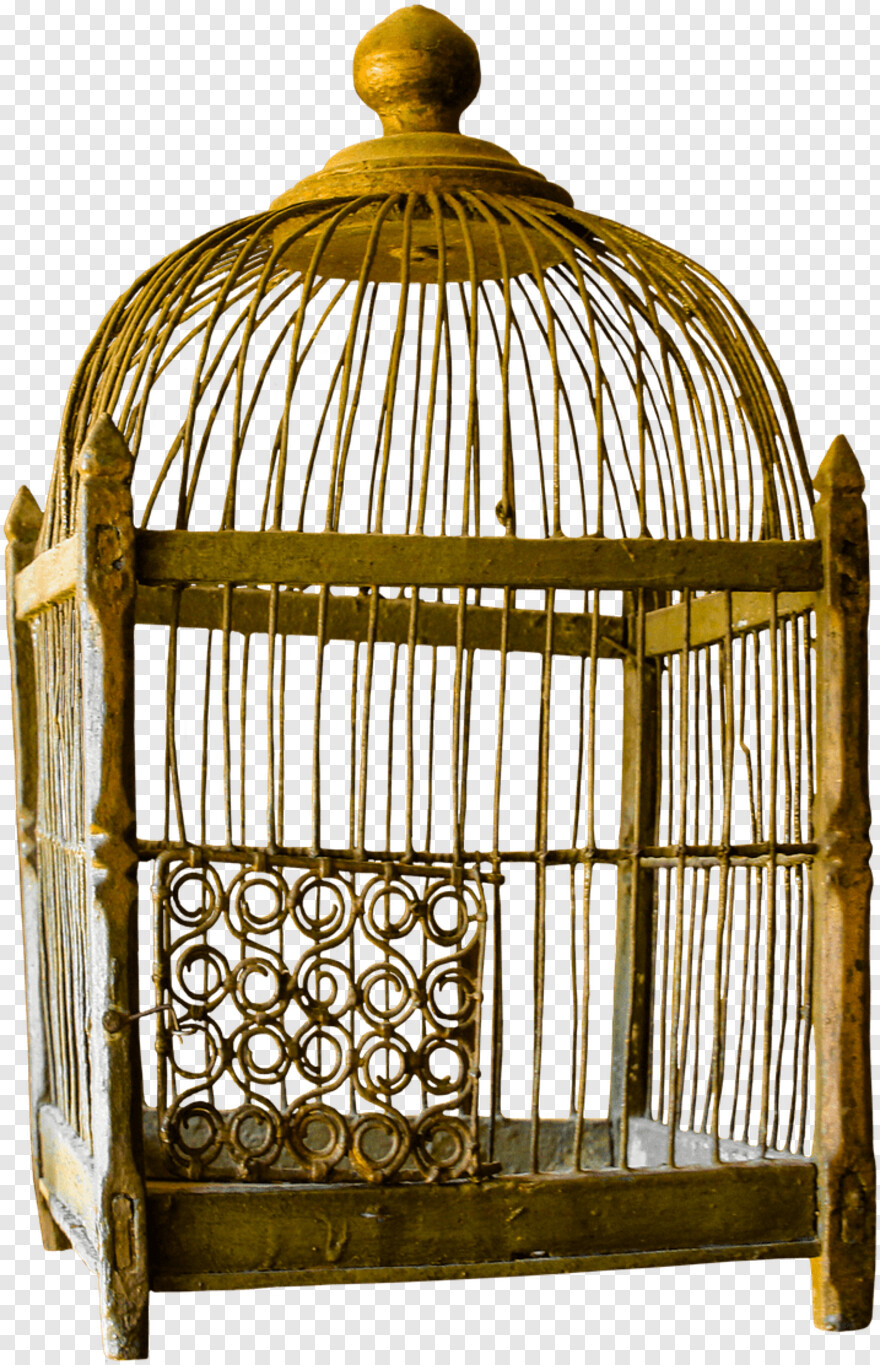 nicolas-cage # 360001