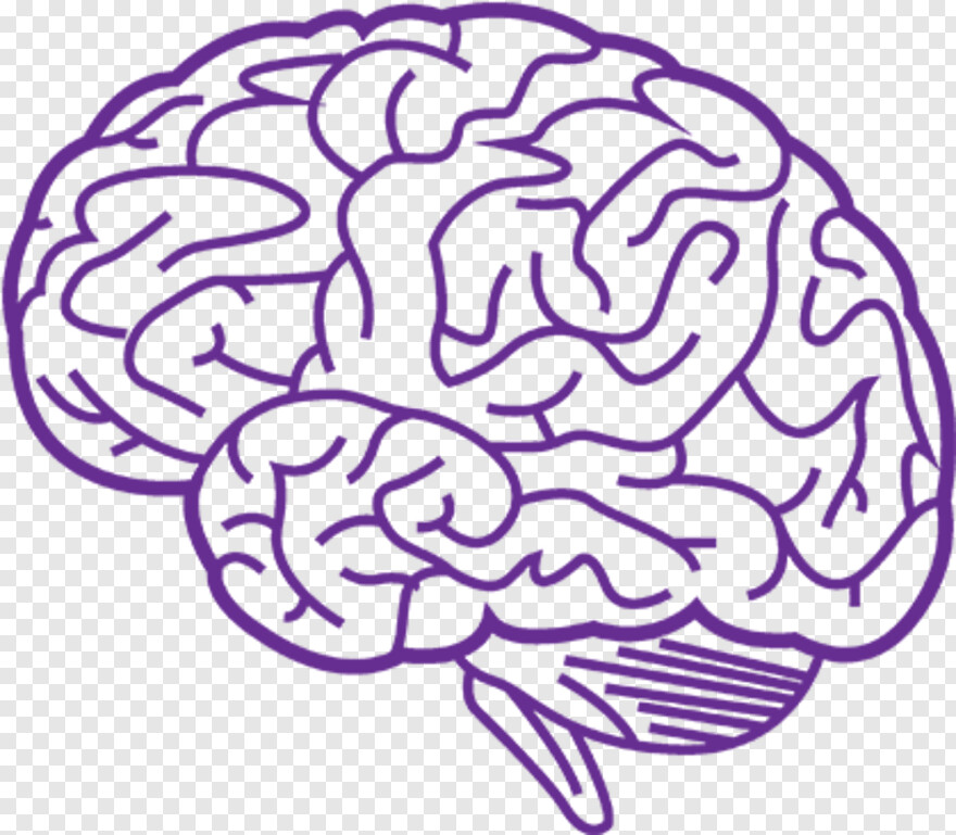 Human Brain, Brain Outline, Brain, Brain Clipart, Creative Brain, Brain Vector