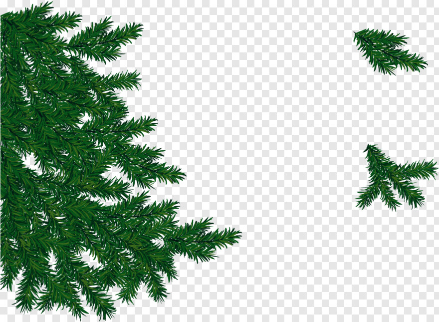 pine-tree-branch # 315179