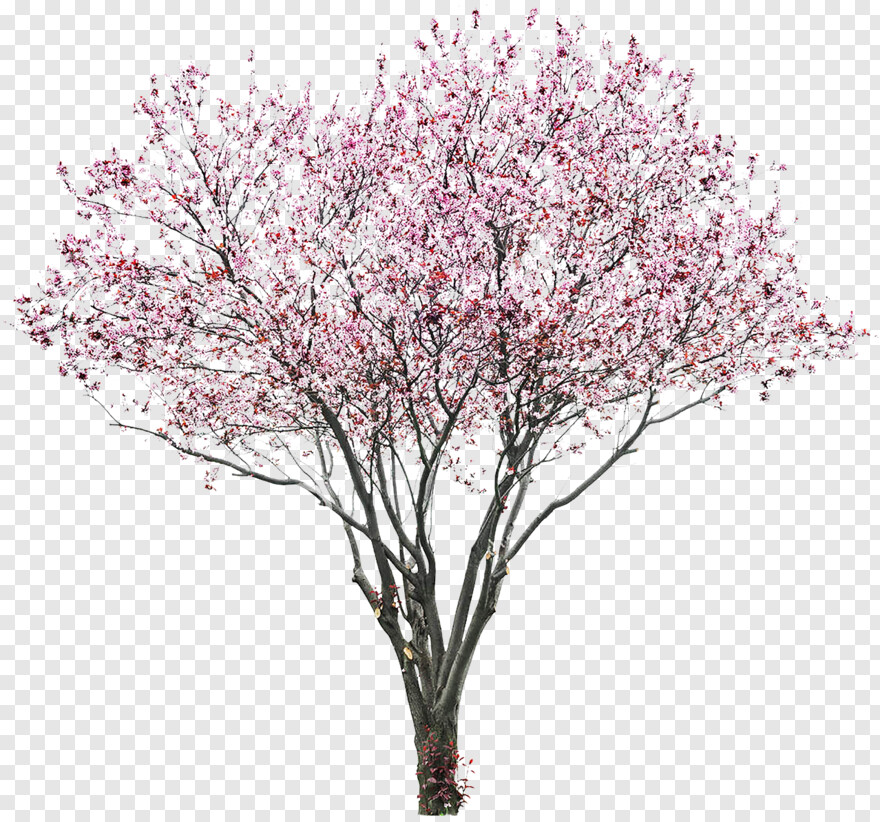 flower-tree-images # 460058