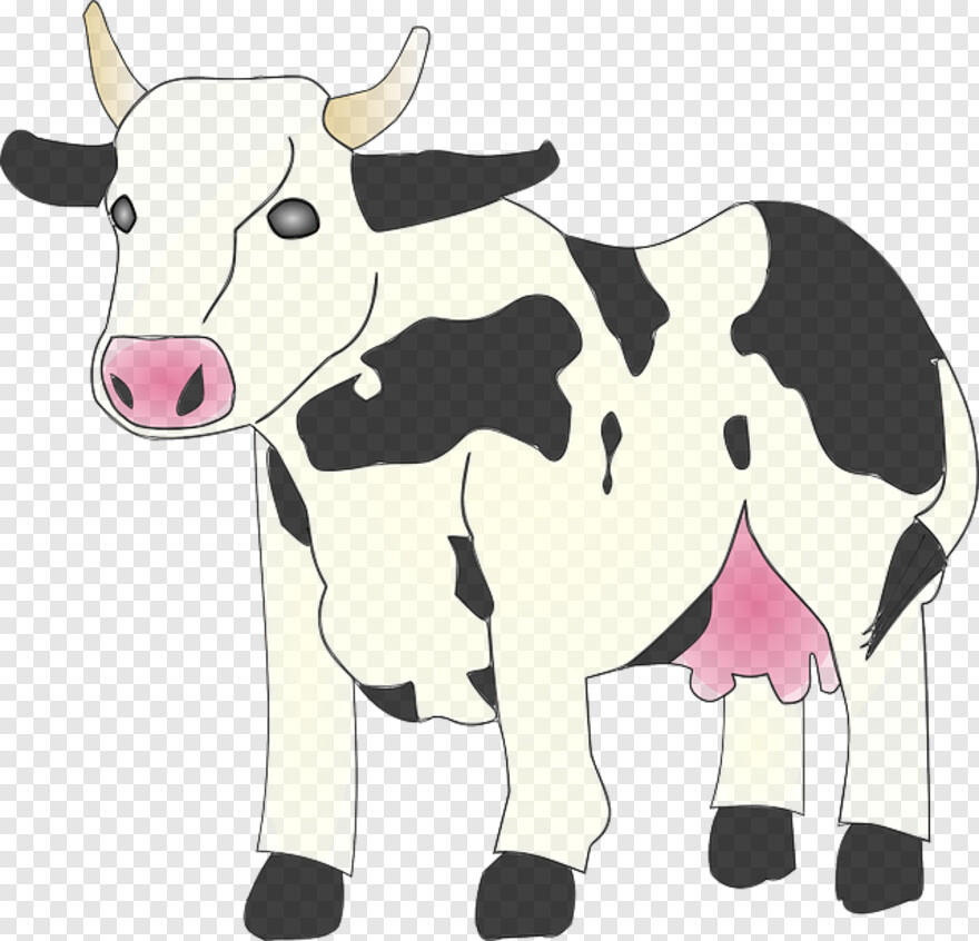 cow # 479133