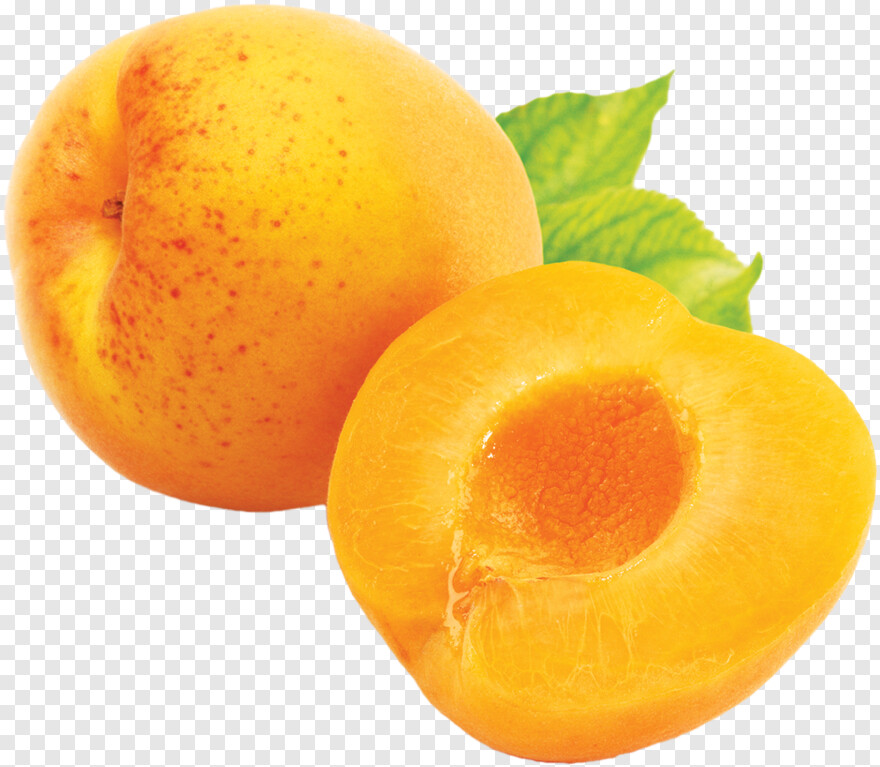 apricot # 496363