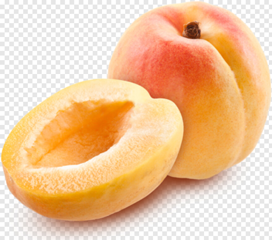 apricot # 496355