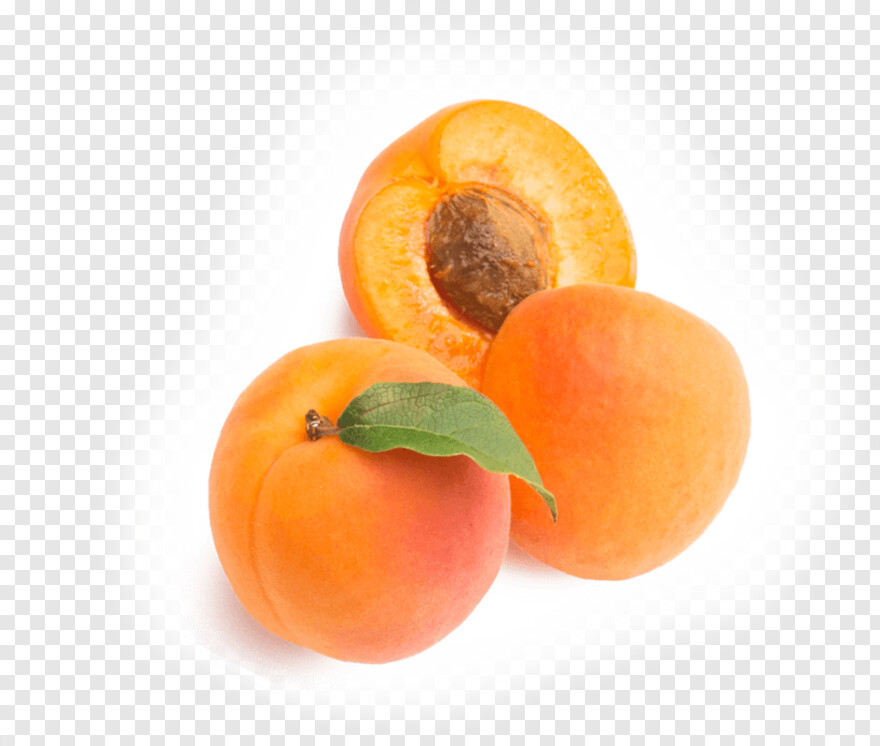 apricot # 496322