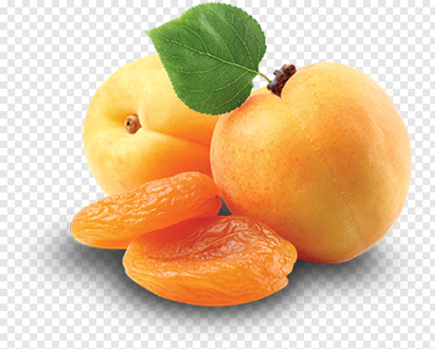 apricot # 496326