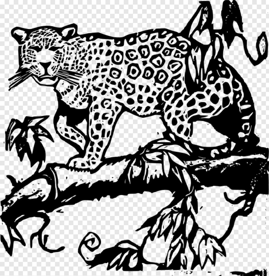 jaguar # 933722