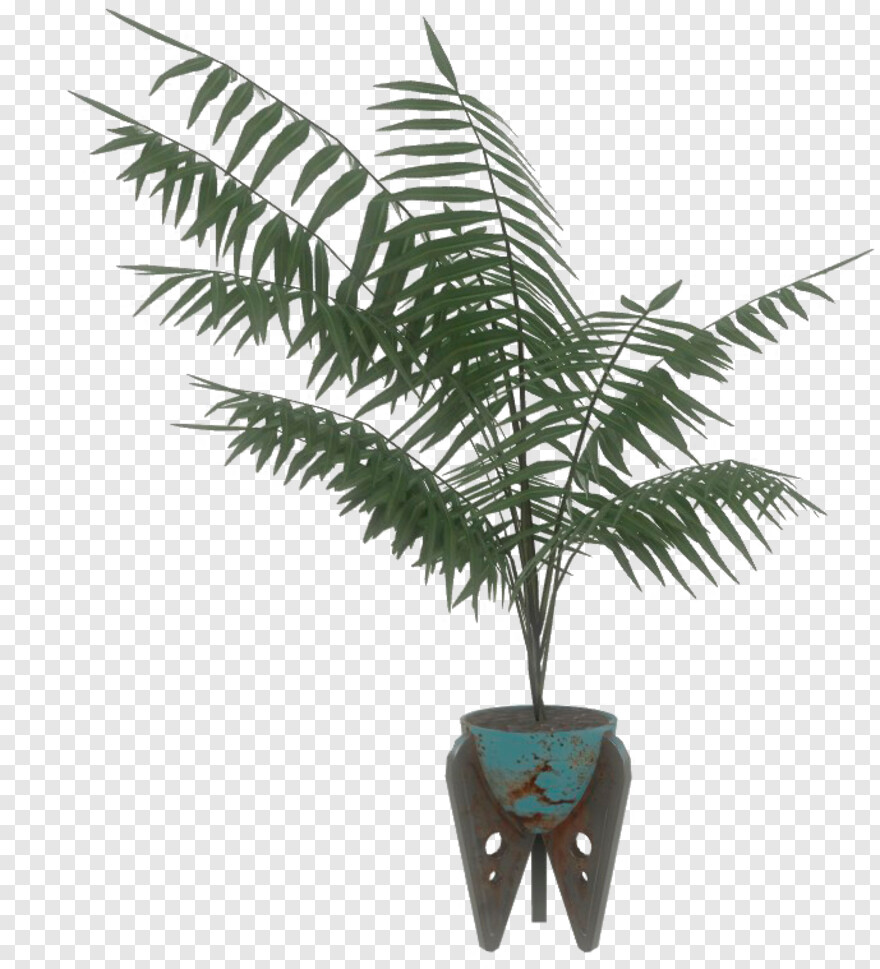potted-plant # 342064