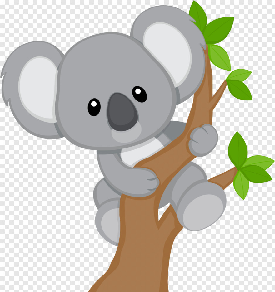 koala # 479117