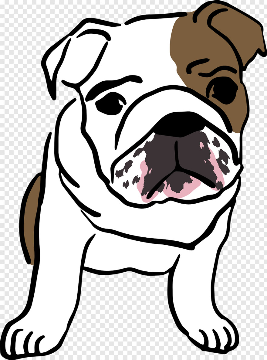 bulldog-logo # 435950