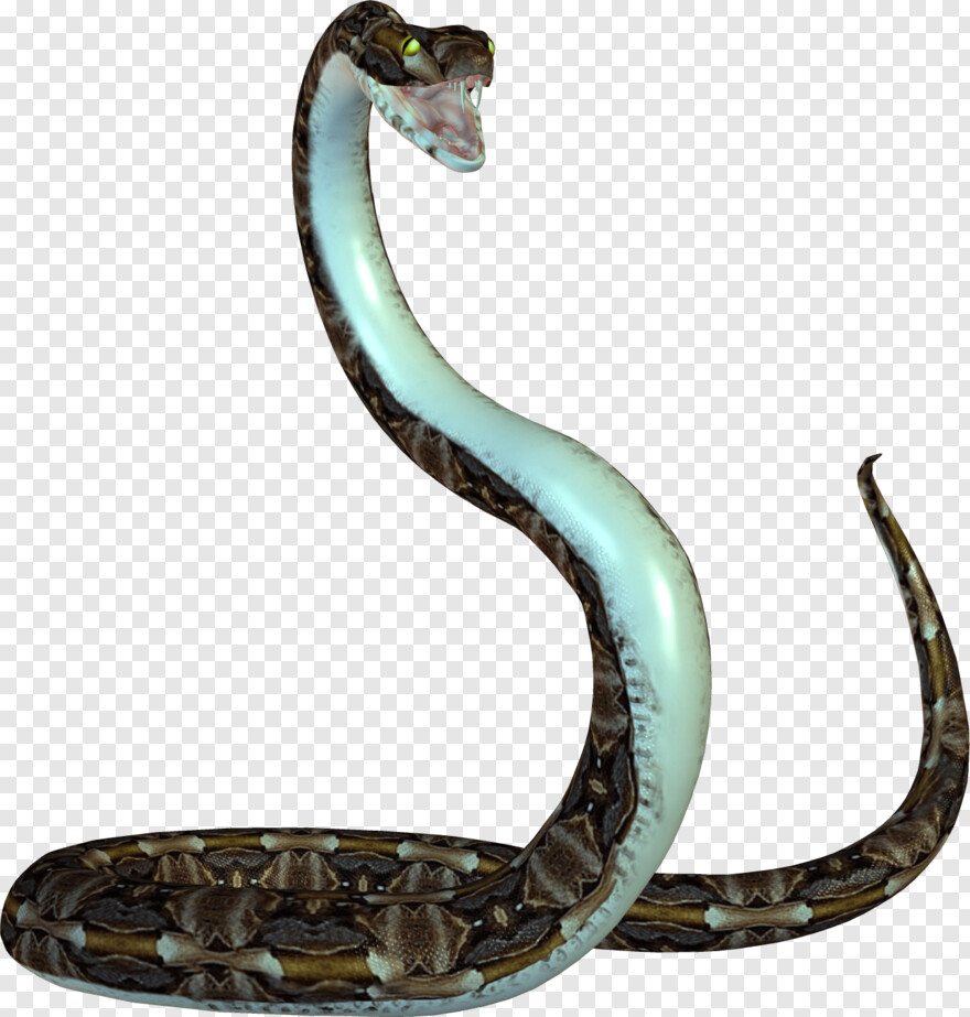 snake-head # 512394