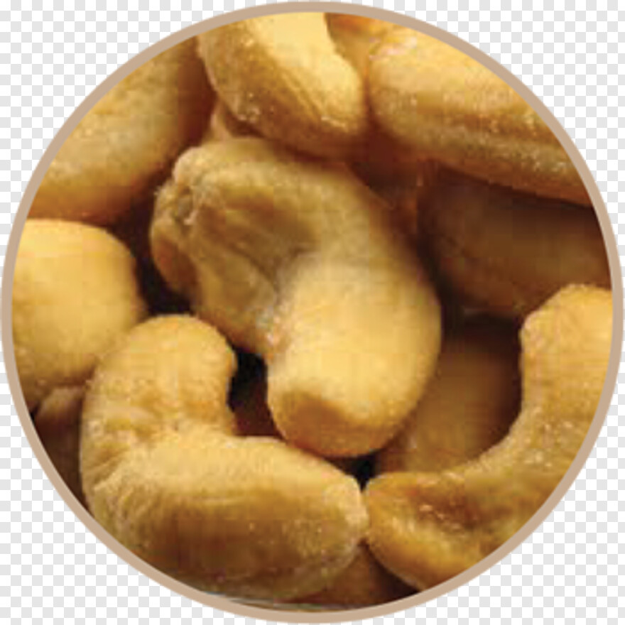 cashew # 558745