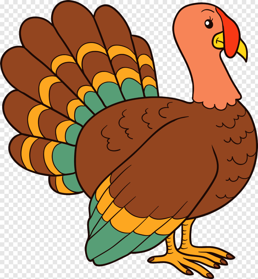 thanksgiving-turkey # 470551