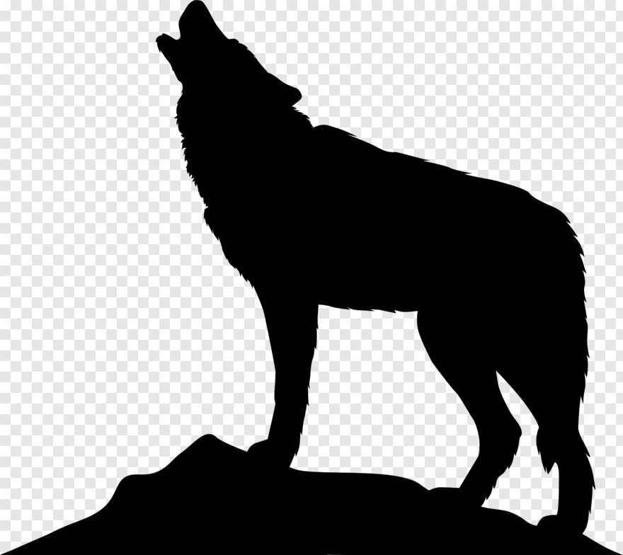  Wolf Howling, White Wolf, Wolf Silhouette, Wolf Eyes, Black Wolf, Wolf