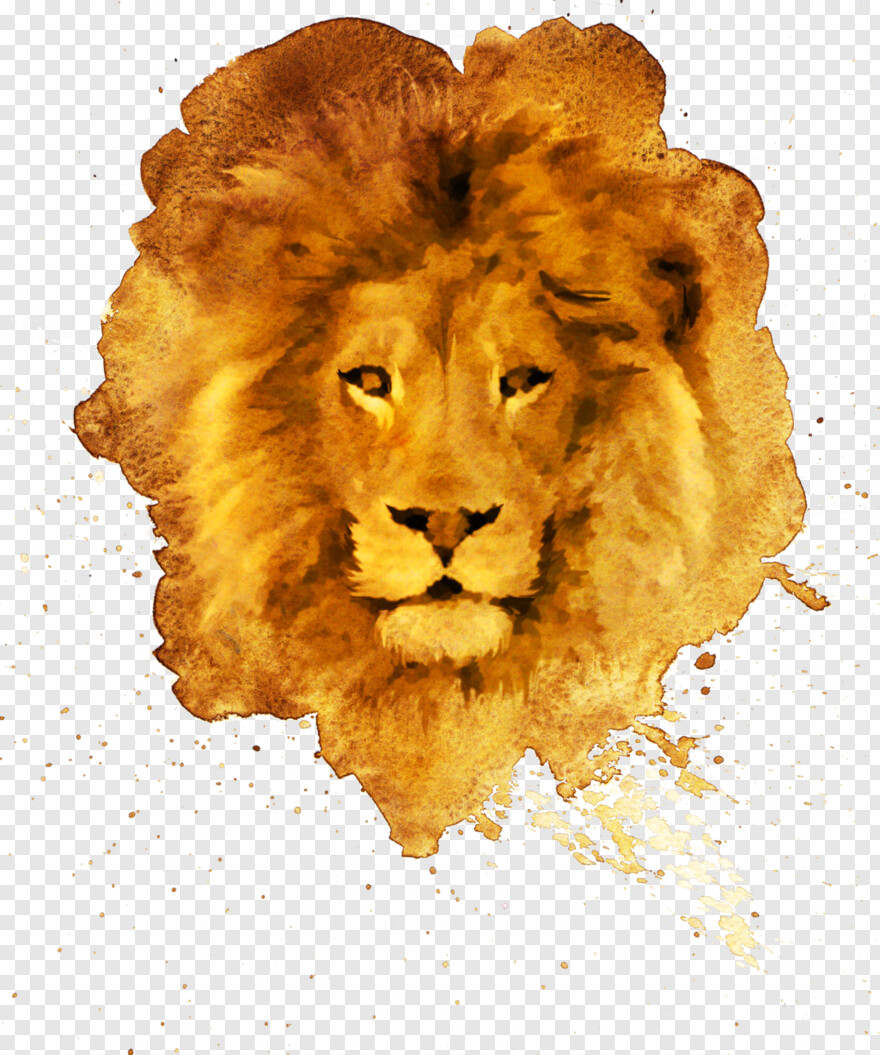 lion-head # 366425