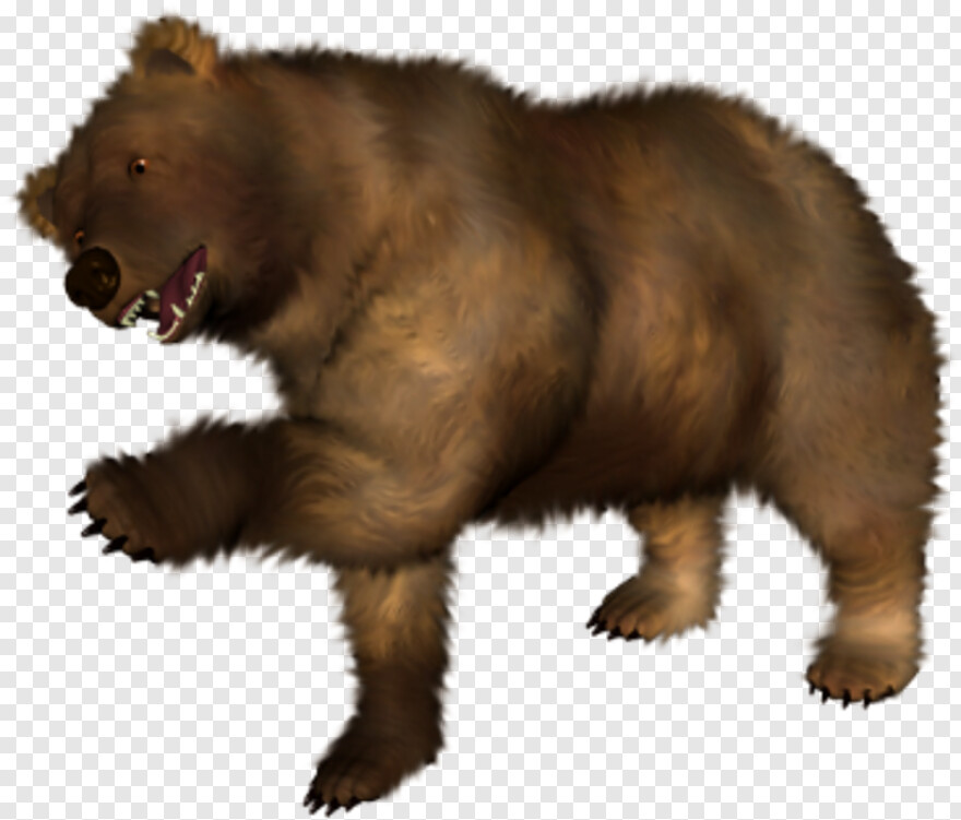 bear-claw # 387523