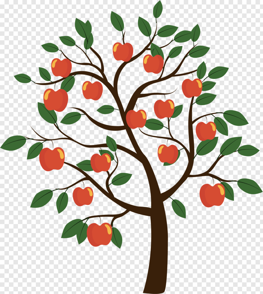 fruit-tree # 494546