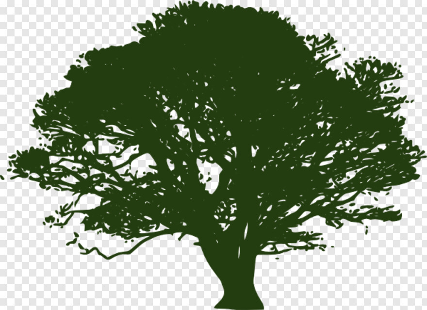 oak-tree-silhouette # 459966