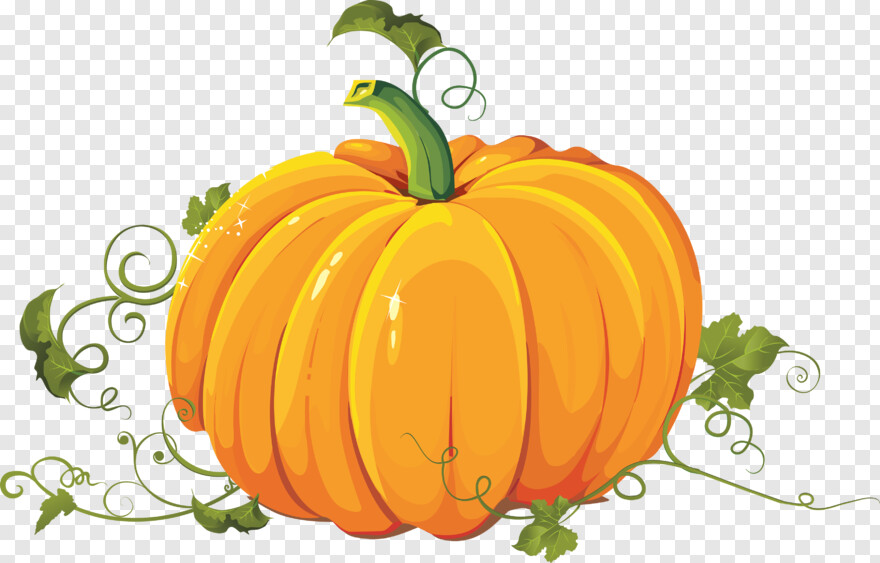 pumpkin-emoji # 429595