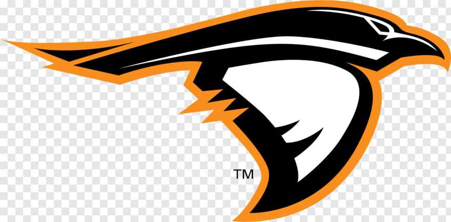 baltimore-ravens-logo # 638250
