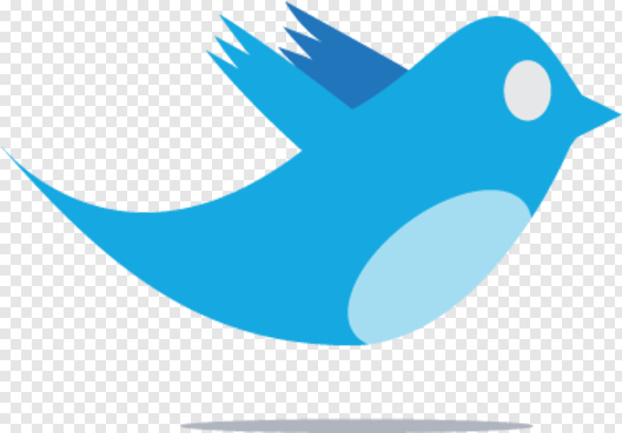  Twitter Bird Logo, Facebook Instagram Twitter, Twitter Logo Transparent Background, Twitter Logo White, Twitter, Facebook Twitter Logo