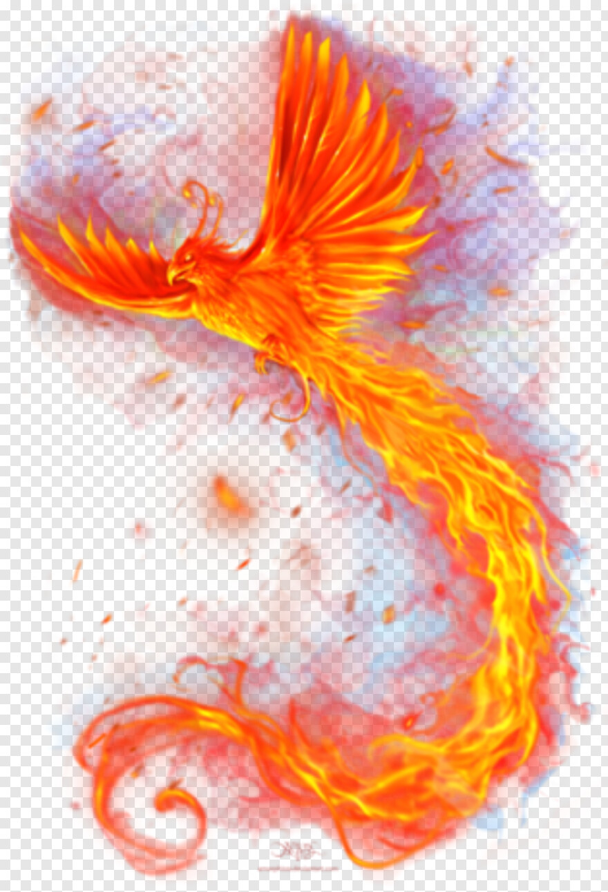 phoenix-logo # 513218