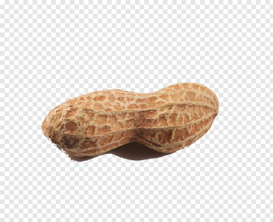 peanut # 408897