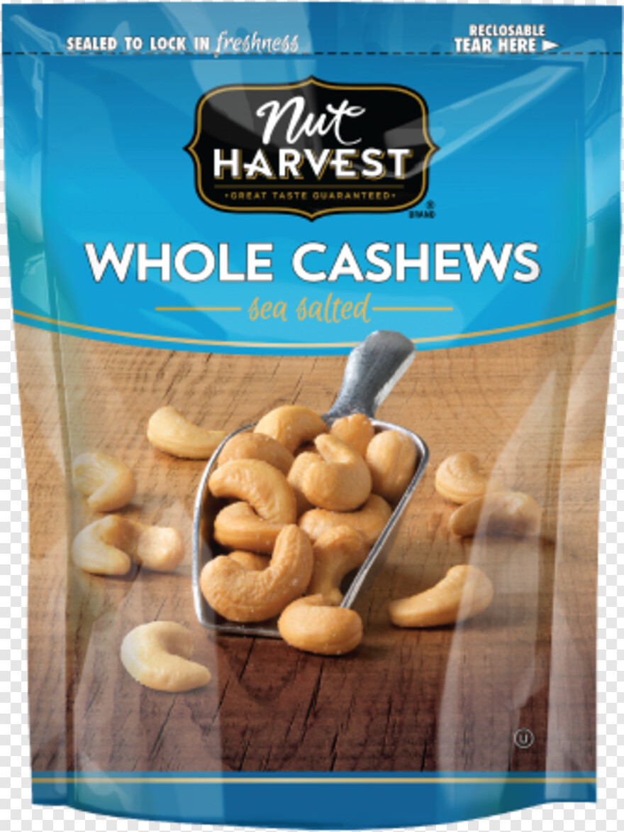 cashew-nut # 537133