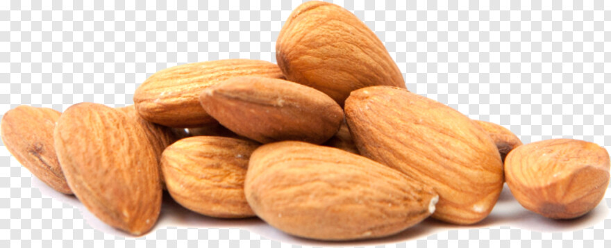 almond # 537208