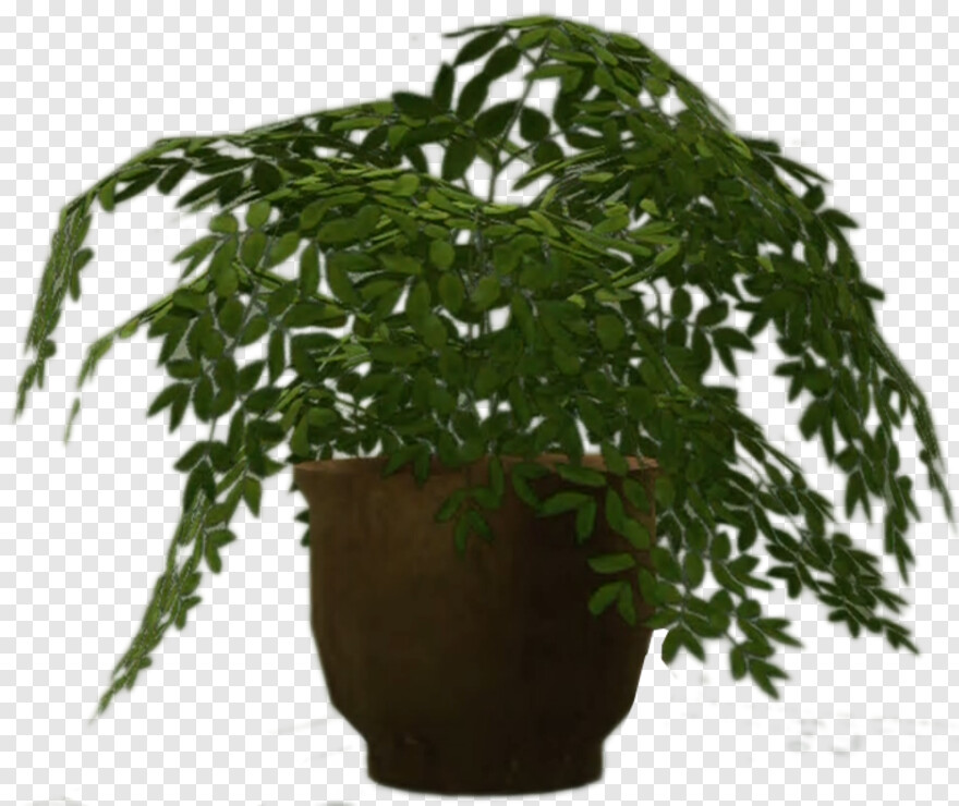 pot-leaf # 922523