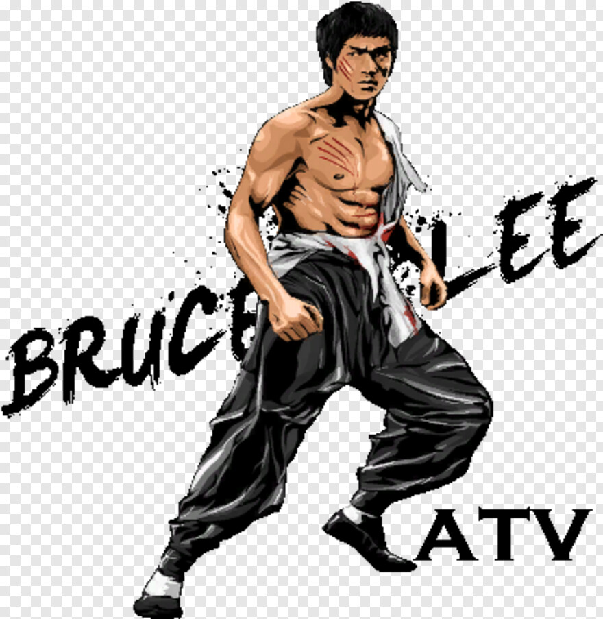  Bruce Lee, Se Habla Espanol, Inscreva-se, Atv, Aj Lee, Rock Lee