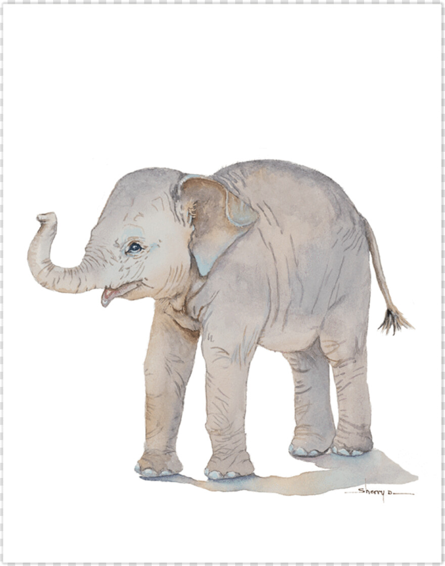 baby-elephant # 472529