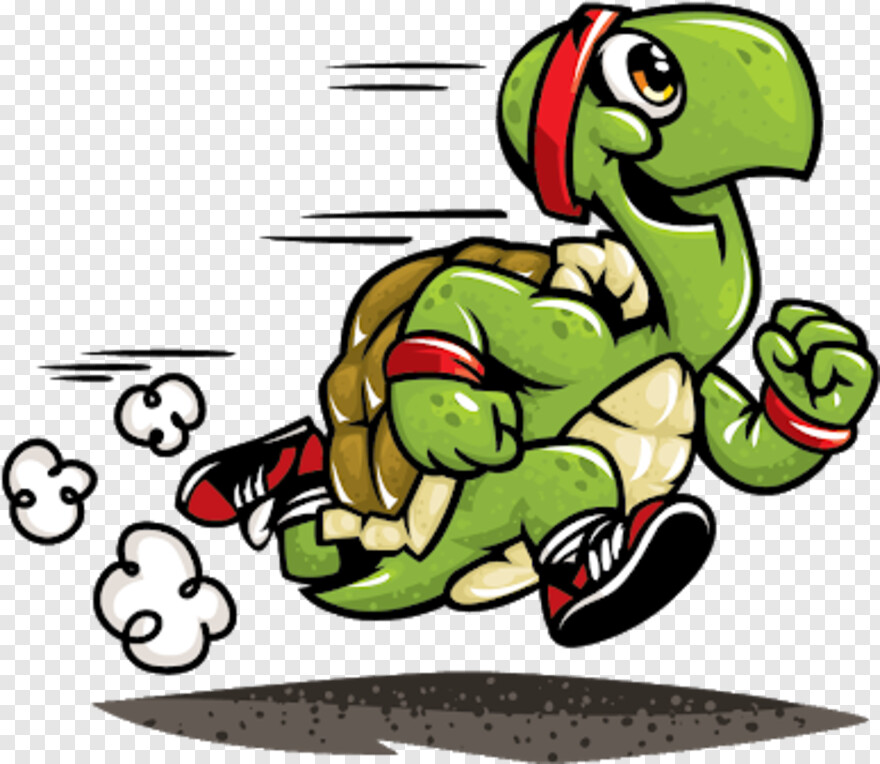  Turtle Shell, Race Track, Sea Turtle, Turtle, Turtle Clipart, Turtle Silhouette