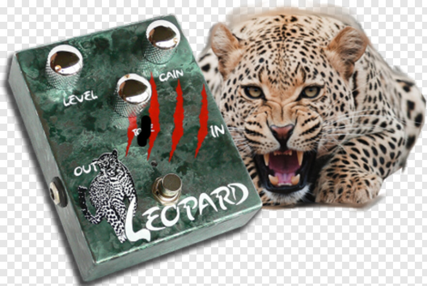 leopard # 718772