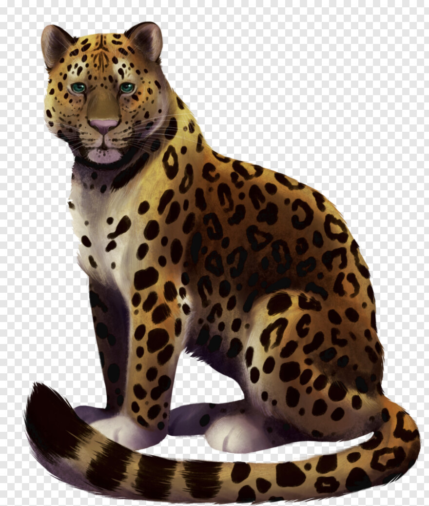 leopard # 718784