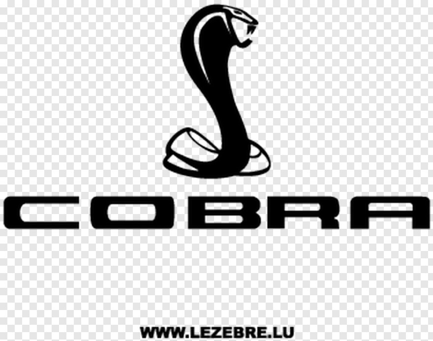 king-cobra # 535190